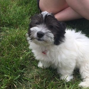 Meet your Posher, Jessica